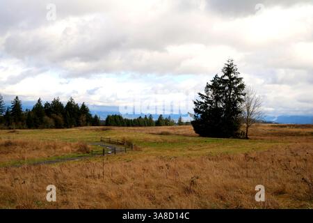 Un vieux chemin serpentant à travers un champ d'herbe morte avec des nuages blancs au-dessus Banque D'Images