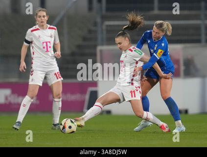 Taylor Marie Ziemer (1. FC Koeln, #18), ALENA Bienz (1. FC Koeln, #11) et Anja Heuschkel (FC Carl Zeiss Jena, #14) GER, 1. FC Koeln vs FC Carl Zeiss Jena, Fussball, Google Pixel Frauen Bundesliga, 18 ans. Spieltag, saison 2024/2025, 28.03.2025 LES RÈGLEMENTS du LDF INTERDISENT TOUTE UTILISATION DE PHOTOGRAPHIES COMME SÉQUENCES D'IMAGES ET/OU QUASI-VIDÉO Foto : Eibner-Pressefoto/Scott Coleman Banque D'Images