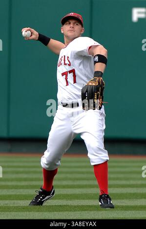 06 avril 2008 - Anaheim, Californie, États-Unis - REGGIE WILLITS #77 des Angels de Los Angeles en action pendant le match contre les Texas Rangers à Angels Stadium. Les Rangers battent les Anges 10-4. (Crédit image : © Louis Lopez/Cal Sport Media/ZUMA Press) Banque D'Images