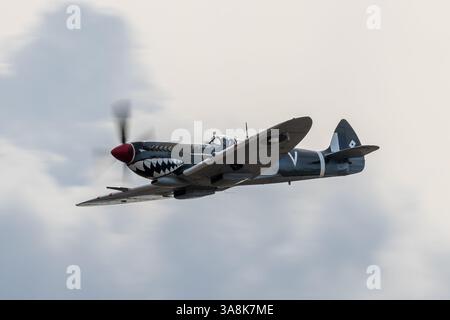 Avalon, Australie. 28 mars 2025. Spitfire VIII vu dans le ciel d'Avalon lors du Avalon Airshow 2025. Avalon Australian International Airshow public Day 1 (photo Olivier Rachon/SOPA images/SIPA USA) crédit : SIPA USA/Alamy Live News Banque D'Images