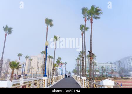 Oceanside, Californie - 3 janvier 2025 : vue panoramique sur la jetée municipale d'Oceanside avec palmiers et brouillard, capturant une atmosphère matinale tranquille Banque D'Images