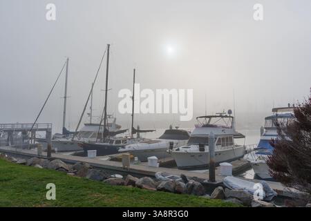 Oceanside, Californie - 3 janvier 2025 : scène de marina sereine à Oceanside, Californie, avec des bateaux couverts de brouillard et de doux reflets d'eau pendant Banque D'Images