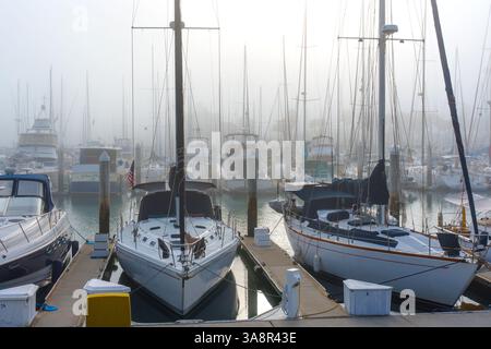 Oceanside, Californie - 3 janvier 2025 : vue sereine des voiliers amarrés à Oceanside Harbor pendant une matinée brumeuse, capturant le calme de la WA Banque D'Images