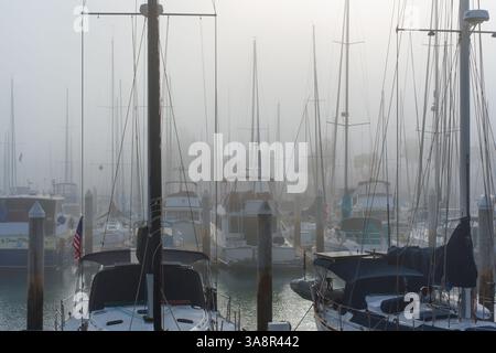 Oceanside, Californie - 3 janvier 2025 : vue sereine sur Oceanside Harbor enveloppé dans le brouillard matinal, avec de nombreux bateaux et mâts dans l'atmo brumeux Banque D'Images