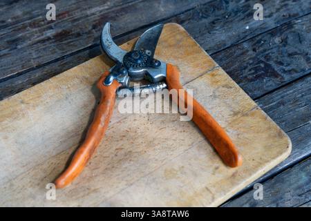 Une paire de cisailles à élaguer à manche orange bien utilisées repose ouverte sur une planche à découper en bois usée, suggérant un travail de jardinage récent Banque D'Images