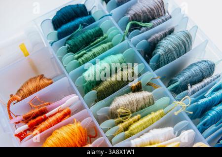 Collection de fils de broderie colorés dans un organisateur Banque D'Images