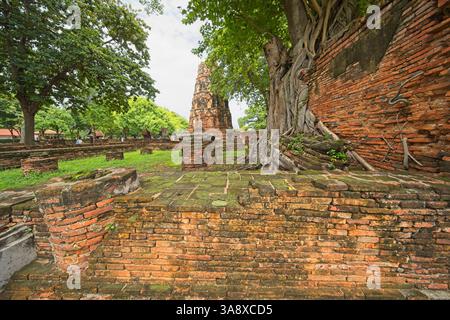Wat Mahathat, à Ayutthaya, Thaïlande. Banque D'Images