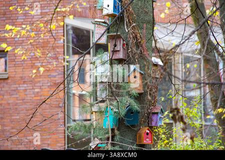 Gdansk, Pologne - 11.11.2024, installation créative de nichoirs sur un arbre dans un parc de Gdańsk, abritant la faune locale. Banque D'Images