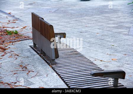 Gdansk, Pologne - 11.11.2024 : un banc contemporain en bois avec un design artistique dans un parc public de Gdańsk. Banque D'Images