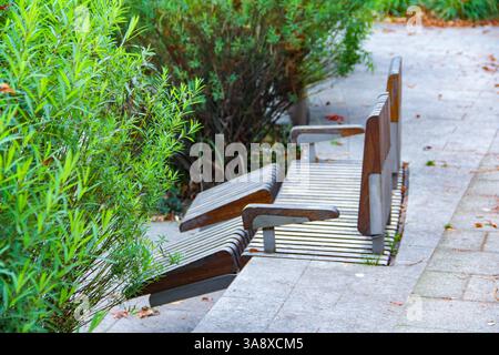 Gdansk, Pologne - 11.11.2024 : un banc de parc moderne dans un espace vert à Gdańsk, offrant une retraite urbaine paisible. Banque D'Images