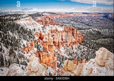 Une neige fraîche couvre les formations rocheuses au Rainbow Point à Bryce Canyon National Park, Utah. Banque D'Images