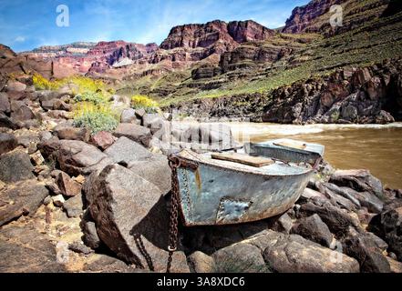 Le bateau Ross Wheeler, abandonné en 1914, repose dans le paysage accidenté du canyon Cataract le long du fleuve Colorado. Banque D'Images