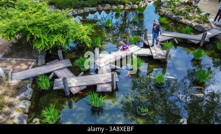 05-13-2023 KAISERSLAUTERN GER enfant, fille, debout sur les genoux sur le pont en bois et mère à proximité dans le jardin japonais regardant sur les carpes KOÏ Banque D'Images