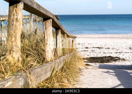 Une clôture en bois se trouve sur la plage, avec vue sur l'océan. La clôture est couverte d'herbes hautes et la plage est sablonneuse. Scène est paisible et serein, wi Banque D'Images