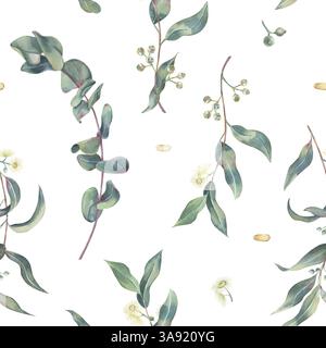 Modèle sans couture de branches d'eucalyptus avec des feuilles, des fleurs et des pousses, des gouttes d'huile essentielle, aquarelle sur blanc. Motif botanique de l'herbe médicinale Banque D'Images