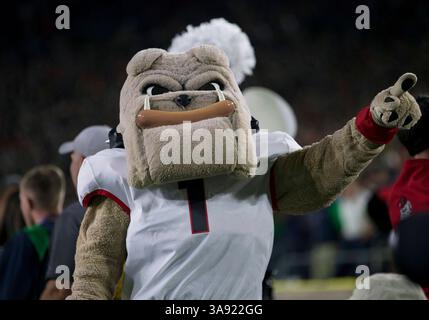 09 septembre 2017 : Georgia Mascot joue lors d'un match de football NCAA entre les Georgia Bulldogs et notre Dame Fighting Irish au notre Dame Stadium de South Bend, Indiana. La Géorgie a battu notre Dame 20-19. John Mersits/CSM. (Image de crédit : &copy ; John Mersits/CSM via ZUMA Wire) Banque D'Images