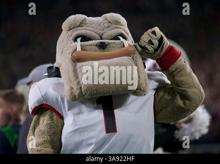 09 septembre 2017 : Georgia Mascot joue lors d'un match de football NCAA entre les Georgia Bulldogs et notre Dame Fighting Irish au notre Dame Stadium de South Bend, Indiana. La Géorgie a battu notre Dame 20-19. John Mersits/CSM. (Image de crédit : &copy ; John Mersits/CSM via ZUMA Wire) Banque D'Images