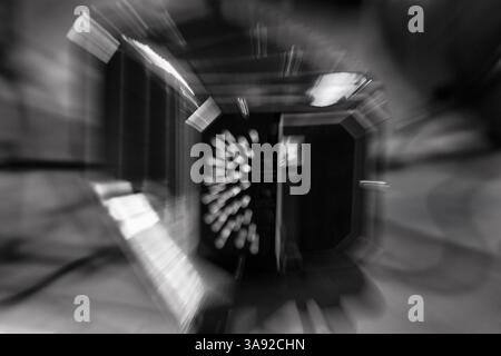 Bandonéon, bandonéon, accordéon sur scène, milonga, concert, danse tango, image symbolique, monochrome, flou de mouvement, Allemagne, Europe Banque D'Images