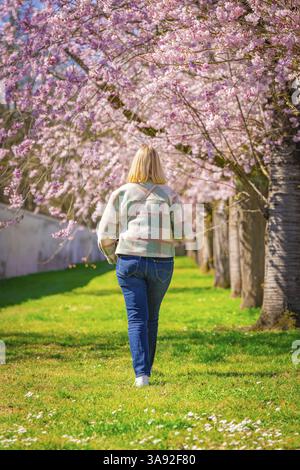Femme marchant dans une avenue de fleurs de cerisier et profitant du printemps, jardin de fleurs de cerisier, Palais Schwetzingen, Allemagne, Europe Banque D'Images