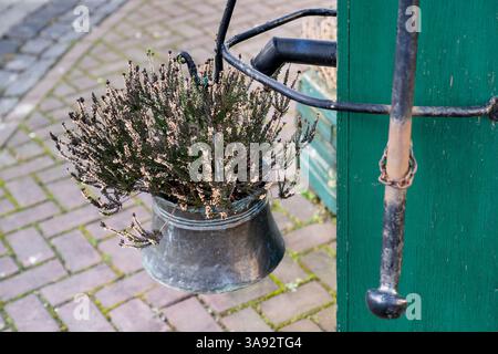 Une belle plante est suspendue à un poteau en métal, avec ses racines dans un bol en métal. Le bol est attaché au poteau, et la plante prospère dans son nouveau Banque D'Images