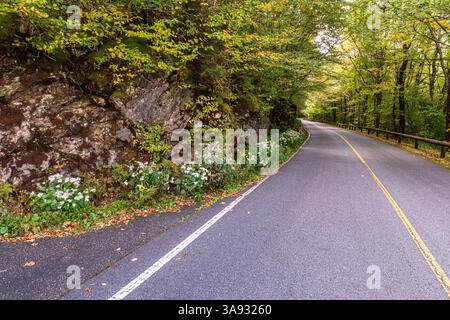 Une route vers le sommet du mont Greylock dans Western Mass Banque D'Images