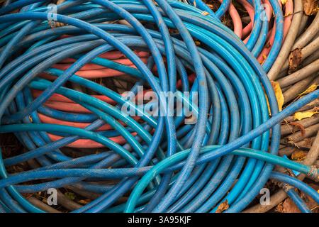 Tuyaux d'arrosage robustes en caoutchouc bleu, orange et gris enroulés à l'automne, Québec, Canada Banque D'Images