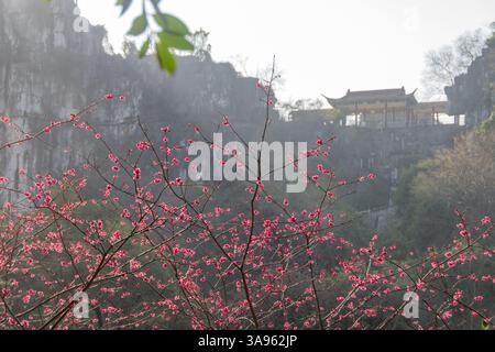 Symphonie rose Sakura : cerisiers en fleurs encadrant les pics karstiques antiques et l'architecture patrimoniale dans Misty Guilin - chef-d'œuvre du printemps chinois Banque D'Images