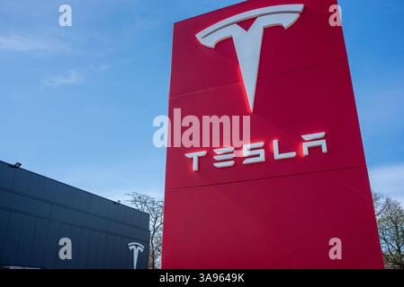 Londres, Royaume-Uni. 29 mars 2025. Le logo Tesla se trouve devant le concessionnaire Tesla à Londres. Les militants de Tesla Takedown UK se sont rassemblés devant le concessionnaire Tesla pour participer à la Journée mondiale d'action à Londres. Les manifestants appellent au boycott contre la société de voitures électriques Tesla appartenant à Elon Musk. En raison de la récente implication milliardaire de la politique américaine et mondiale. (Photo de Krisztian Elek/SOPA images/SIPA USA) crédit : SIPA USA/Alamy Live News Banque D'Images
