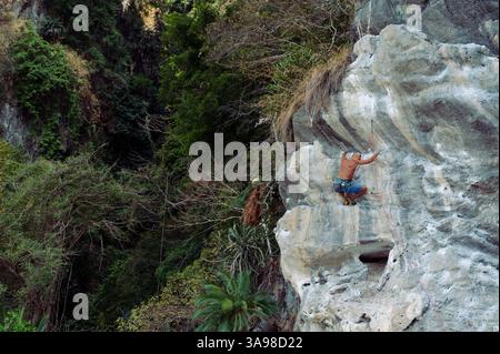 Grimpeur mature pousse vers le haut avec détermination, escaladant une falaise calcaire encadrée par une forêt tropicale dense Banque D'Images
