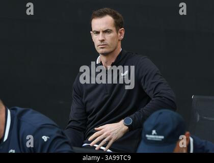 L'entraîneur Andy Murray assis dans la case des joueurs à l'Open d'Australie 2025, Melbourne Park, Melbourne, Victoria, Australie Banque D'Images