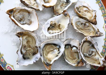 huîtres fraîches comme délicieux fruits de mer Banque D'Images