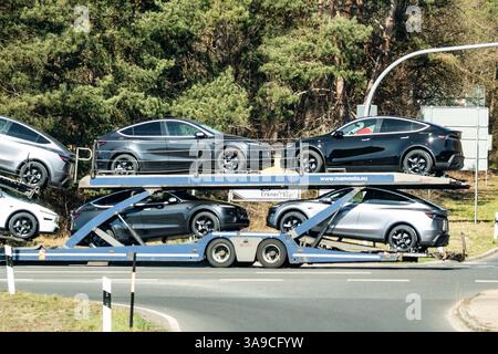 Grünheide, Brandebourg, Allemagne - 28 mars 2025 : un transporteur de voitures équipé de plusieurs nouveaux véhicules Tesla Model y traverse le rond-point de la Gigafactory Grünheide. Les véhicules sont chargés pour le transport ultérieur. *** Ein Autotransporter mit mehreren neuen Tesla Model y Fahrzeugen fährt durch den Kreisverkehr BEI der Gigafactory Grünheide. Die Fahrzeuge sind für den Weitertransport verladen. Banque D'Images