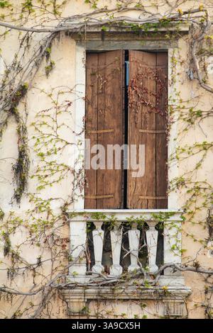 Gros plan d'un volet en bois texturé sur un balcon orné de balustrades antiques, entouré de plantes grimpantes en croissance naturelle ajoutant un omble rustique Banque D'Images