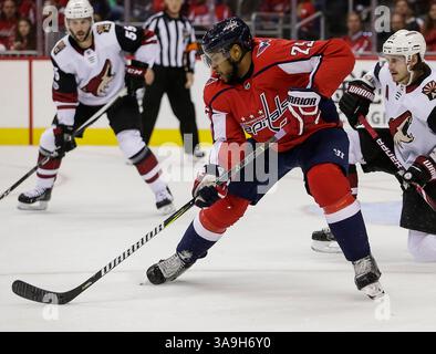 06 novembre 2017 : aile droite #25 Devante Smith-Pelly marque un but lors d'un match dans la LNH entre les Capitals de Washington et les Coyotes de l'Arizona au Capital One Arena de Washington DC Justin Cooper/CSM(crédit image : &copy ; Justin Cooper/CSM via ZUMA Wire) Banque D'Images