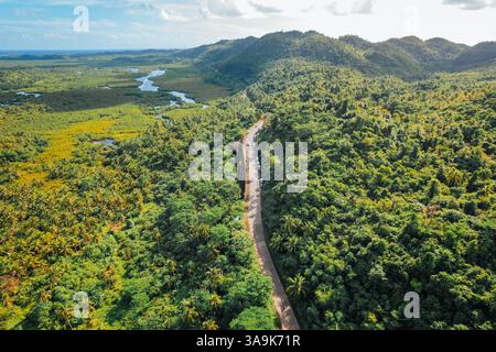 La plantation de noix de coco sans fin de Siargao – Une magnifique mer de palmiers imposants qui s'étend sur toute l'île, mettant en valeur la beauté crue de la nature et de l'est Banque D'Images