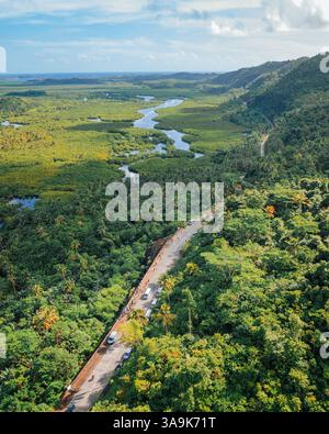 La plantation de noix de coco sans fin de Siargao – Une magnifique mer de palmiers imposants qui s'étend sur toute l'île, mettant en valeur la beauté crue de la nature et de l'est Banque D'Images