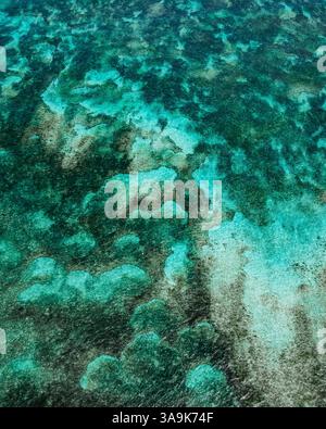 Motifs abstraits de l'eau envoûtants – Un jeu de lumière, d'ondulations et de reflets créant un art fluide et époustouflant dans la nature ! Banque D'Images