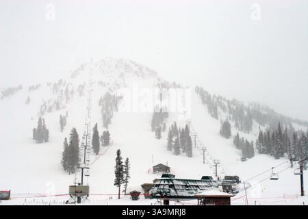 27 février 2006 ; Mammoth Lakes, CA, États-Unis ; une tempête hivernale qui a apporté pluie et neige dans de nombreuses régions de Californie continue de faire des ravages dans les montagnes de la Sierra Nevada. La chute de neige totale pour les deux derniers jours est de 39 pouces et compte. Sur la photo : Mammoth montagne dans des conditions presque blanches. Crédit obligatoire : photo de Marianna Day Massey/ZUMA Press. (©) Copyright 2006 par Marianna Day Massey Banque D'Images