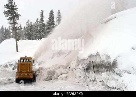 27 février 2006 ; Mammoth Lakes, CA, États-Unis ; une tempête hivernale qui a apporté pluie et neige dans de nombreuses régions de Californie continue de faire des ravages dans les montagnes de la Sierra Nevada. La chute de neige totale pour les deux derniers jours est de 39 pouces et compte. Photo : une souffleuse à neige déneige du parking de Mammoth montagne pendant une tempête hivernale. Crédit obligatoire : photo de Marianna Day Massey/ZUMA Press. (©) Copyright 2006 par Marianna Day Massey Banque D'Images