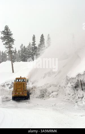 27 février 2006 ; Mammoth Lakes, CA, États-Unis ; une tempête hivernale qui a apporté pluie et neige dans de nombreuses régions de Californie continue de faire des ravages dans les montagnes de la Sierra Nevada. La chute de neige totale pour les deux derniers jours est de 39 pouces et compte. Photo : une souffleuse à neige déneige du parking de Mammoth montagne pendant une tempête hivernale. Crédit obligatoire : photo de Marianna Day Massey/ZUMA Press. (©) Copyright 2006 par Marianna Day Massey Banque D'Images