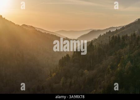 Lever de soleil doré sur Rolling Forested Hills et Foggy Valley Banque D'Images