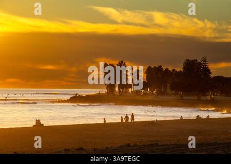 Coucher de soleil doré sur la plage bordée de palmiers avec des gens appréciant le rivage Banque D'Images