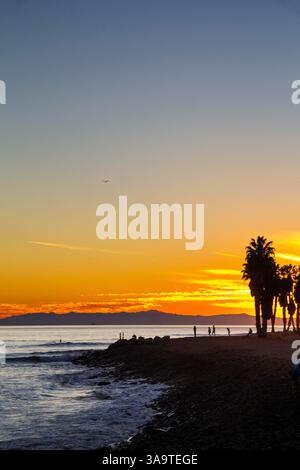 Rivage silhouetté et palmiers au coucher du soleil doré au bord de la mer Banque D'Images