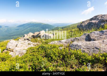 paysage montagneux des carpates en été. vue panoramique. paysage alpin avec collines herbeuses. fond vert de nature. environnement vert Banque D'Images