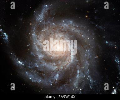 Feb 28, 2006 - Portrait de galaxie, espace extra-atmosphérique - les galaxies géantes n'ont pas été assemblées en un jour. Cette image du télescope spatial Hubble de la galaxie spirale faciale Messier 101 (M101) n'était pas non plus. C'est la photo la plus grande et la plus détaillée d'une galaxie spirale jamais libérée de Hubble. Le portrait de la galaxie est en fait composé de 51 expositions Hubble individuelles, en plus des éléments d'images de photos au sol. L'image composite finale mesure un énorme 16 000 x 12 000 pixels. Les bras spiraux de la galaxie sont parsemés de grandes régions de nébuleuses formant des étoiles. Ces nébuleuses sont Ar Banque D'Images