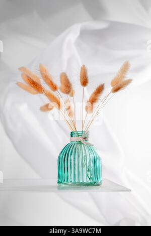 Bouquet d'herbe queue de lapin dans un élégant vase en verre moderne créant une atmosphère chaleureuse à la maison et apportant la nature à l'intérieur, fond blanc avec du caillé blanc Banque D'Images