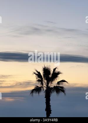 Un palmier solitaire se dresse contre un ciel de coucher de soleil de couleur pastel avec des nuages superposés, créant une atmosphère paisible et tropicale. Banque D'Images