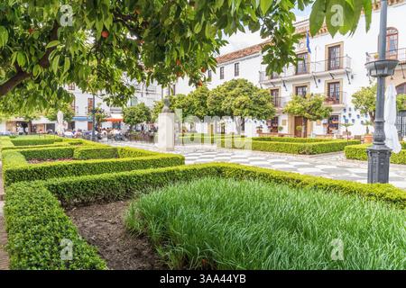 Plaza de Los Naranjos Banque D'Images