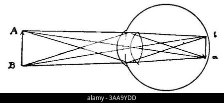 I principii scientifici del divisionismo (page 36 crop) fig.15. Banque D'Images