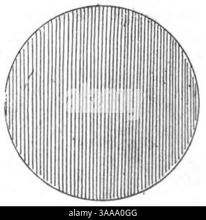 I principii scientifici del divisionismo (page 220 crop) fig.79. Banque D'Images